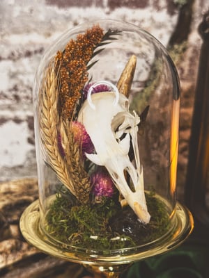 Image of Pheasant & Antler Mini Cloche