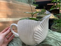 Image 1 of Freckled Splash Hoya in Majorca Seashell Pitcher 