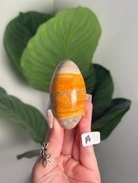 Image 1 of HIGH QUALITY BUMBLE BEE JASPER SHIVAS -INDONESIA-