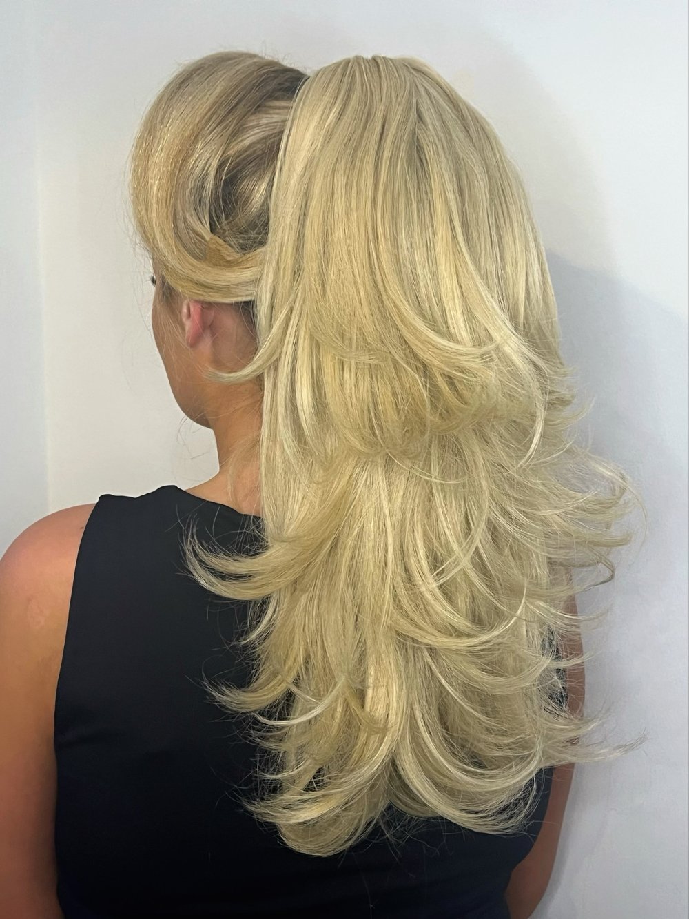 Image of Ponytail Perfection