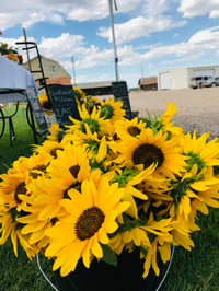 DIY Buckets of Flowers 