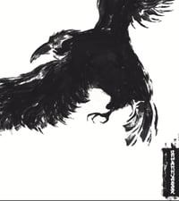 Image 2 of Observant Crow