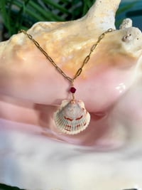 Image 2 of Scallop Shell Necklace N198
