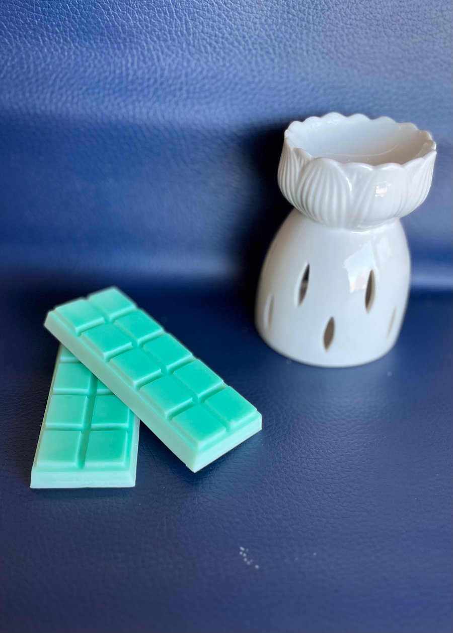 Image of Summer Job | Soy + Beeswax Melt