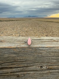 Image 1 of The Prairie Rosette