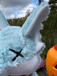 Image 2 of blue wolf 