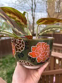 Image 2 of Prayer Plant in Green Floral Bowl