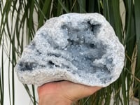 Image 2 of Celestite Geode #1801