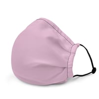 Image 1 of TWILIGHT FACE MASK