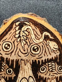 Image 2 of Mushroom Monsters