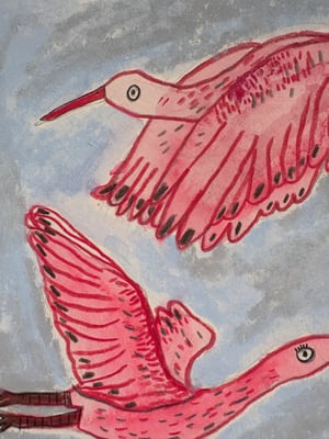 Image of Vadefugler