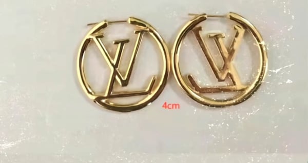 Image of Designer Earring 4cm 