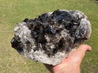 Image 2 of Large Smoky Quartz Points Cluster #2319
