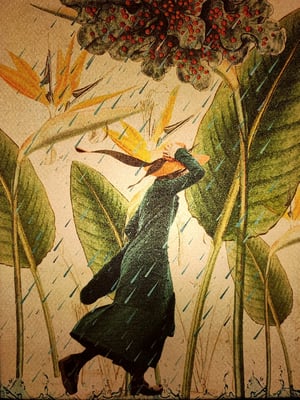 Image of Lluvias de Abril.