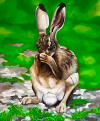 Scratching Hare