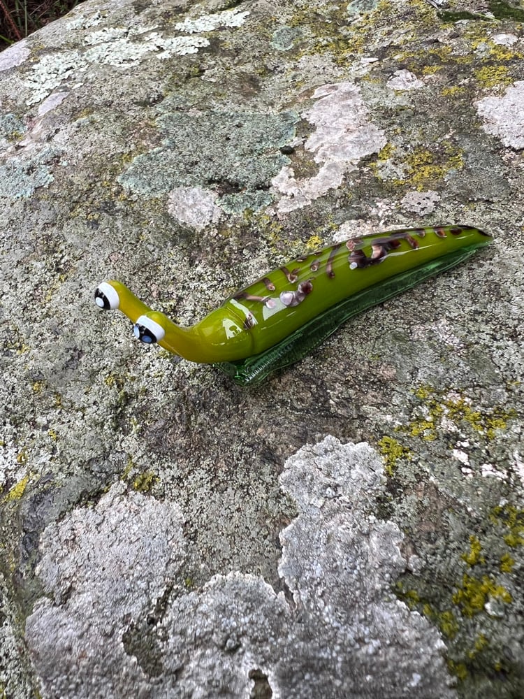 Image of Green and Brown Boro Slug