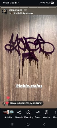 Image 3 of Fat squeezy mops