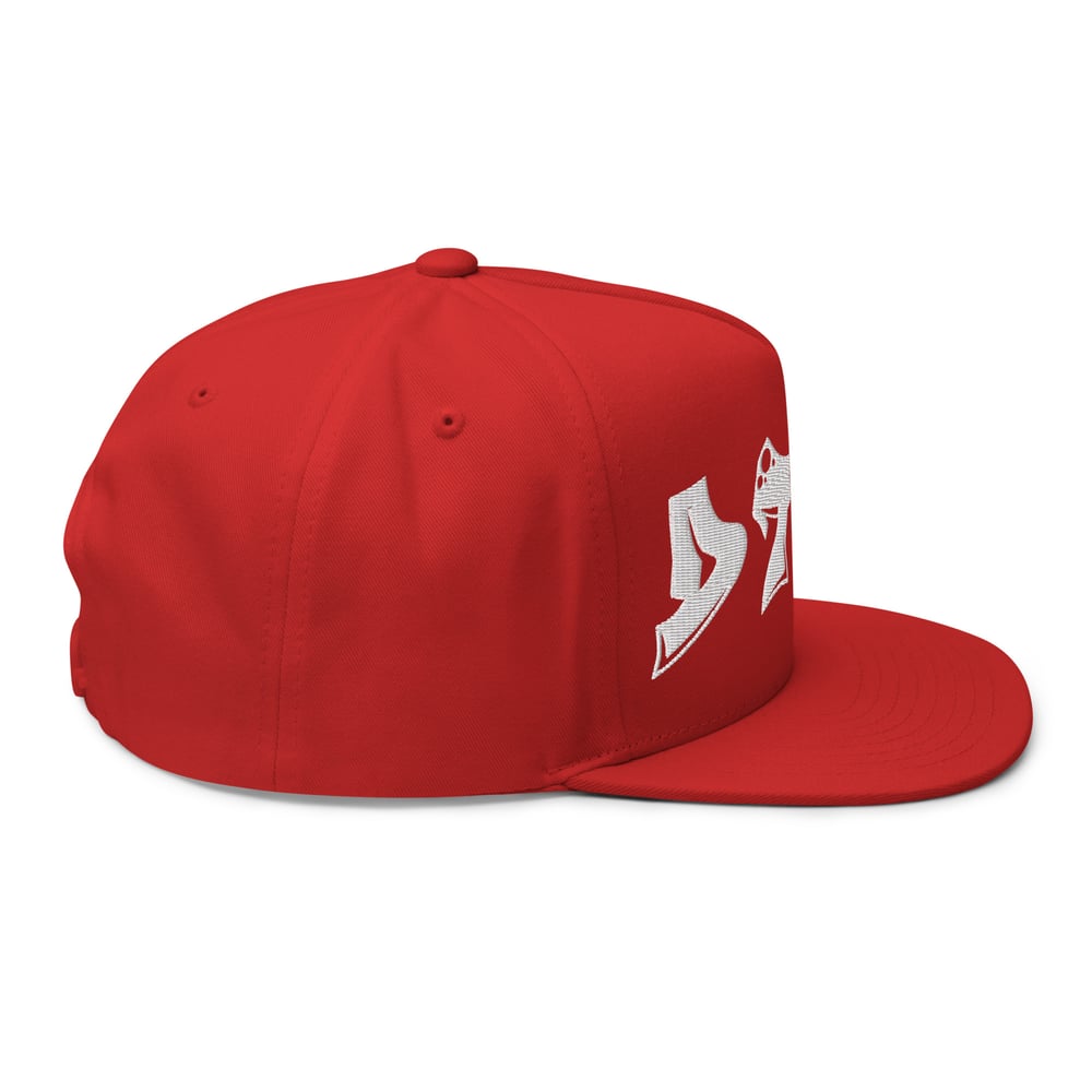 DTMA SNAPBACK