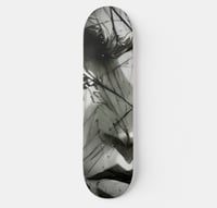Image 2 of B&W HOODIE COLLECTION & DECK