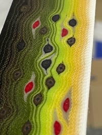 Image 1 of Thin Brown Trout by Mikie