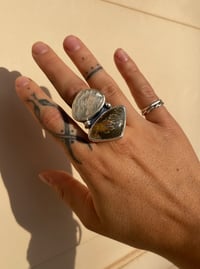 Image 3 of Moon-Shell Ring