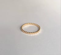 Image 3 of THE RUTH BAND