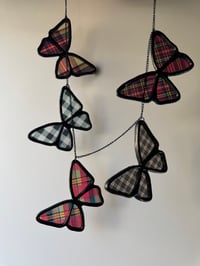Image 1 of Butterflies V8