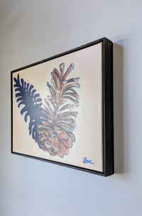 Image 3 of Loblolly Pine Cone #2