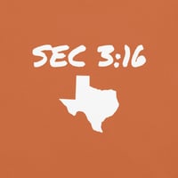 Image 1 of Texas - Unisex garment-dyed heavyweight t-shirt