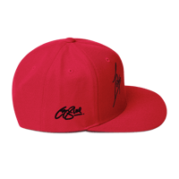 Image 14 of 1 of One Snapback Hat 