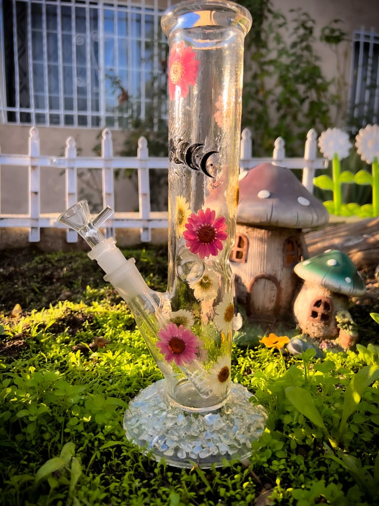 Image of Pixie