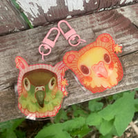 Image 1 of bird beanie keychains