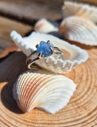 Image 1 of East Coast Seaglass Adjustable Rings