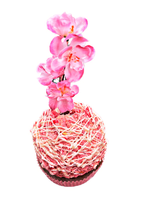 Image of Caramel Cherry Blossom 