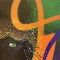 Cat and orange lines canvas
