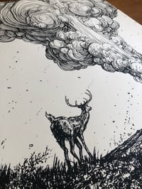 Image 3 of Eruptions and Alertness