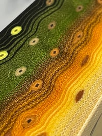 Image 4 of Bull Trout V2 by Mikie