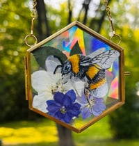 Bee Custom
