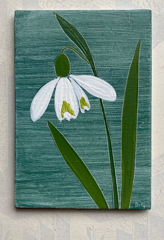 Image of Snowdrop Study (D)