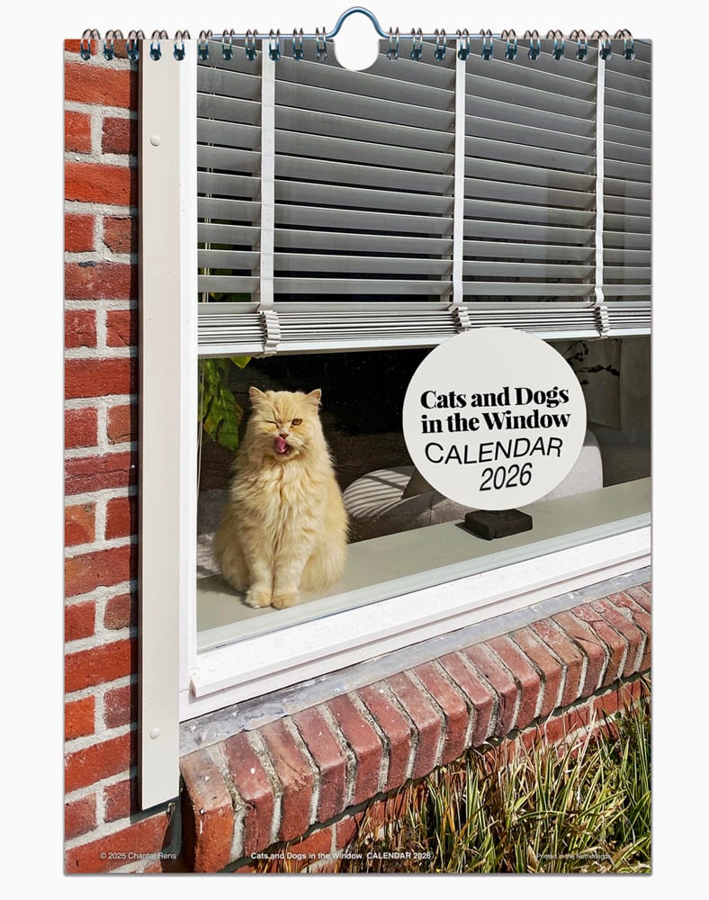 Image of 'Cats and Dogs in the Window' • 2026 CALENDAR