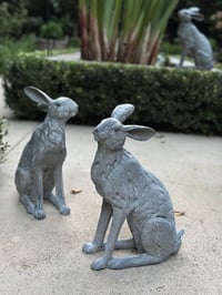 Image 1 of Entrance Garden Hare