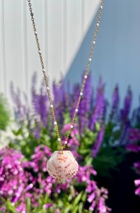 Image 1 of Scallop Shell Necklace N179