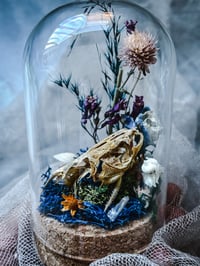 Image 5 of Tiny catfish skull Sea Witch Vial