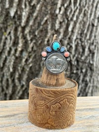 Image 1 of The Buffalo Trails