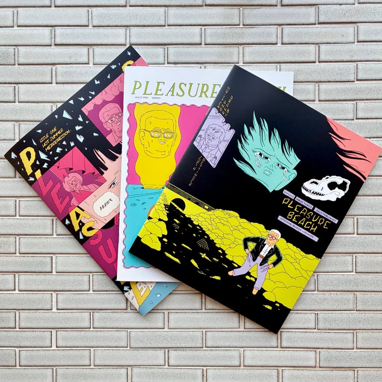 Pleasure Beach by Josh Pettinger (ISSUE #3 OUT NOW!)