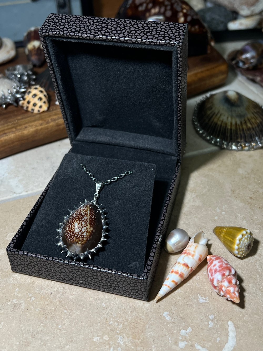 Spiked Snakehead Cowrie Pendant 