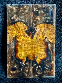 Image 1 of Yellow Cedar Burl Hybrid Knife Scales B