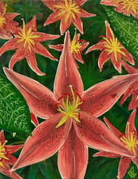 Lily Stargazer Signed Art Print 8.5x11"