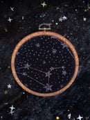 Image 1 of Constellation Prize