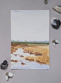 Image 1 of Wetlands 2